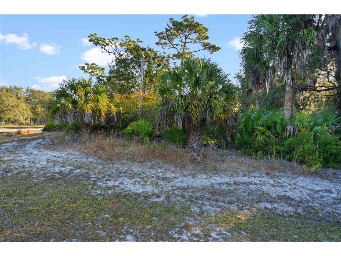 TBD E Cason Boulevard Inglis FL 34449 OM714007 image4