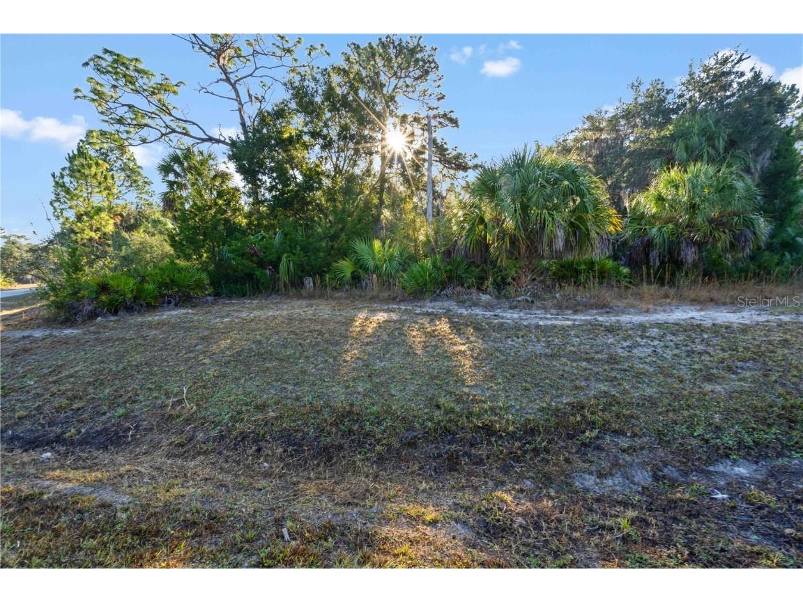 TBD E Cason Boulevard Inglis FL 34449 OM714007 image5