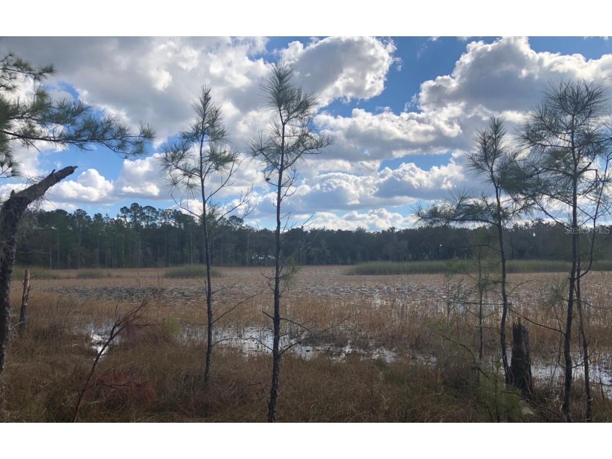 TBD E Highway 316 Citra FL 32113 OM651723 image1