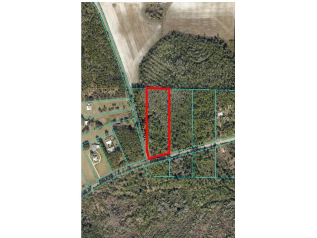 TBD E Hwy 318 Citra FL 32113 G5072336 image1