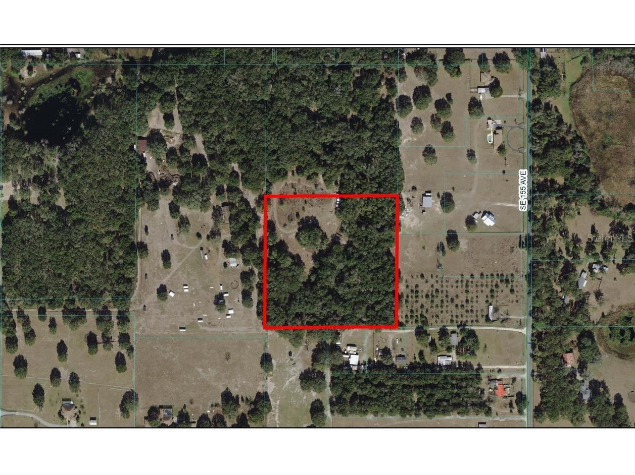 TBD E Hwy 42 Weirsdale FL 32195 G5080814 image1