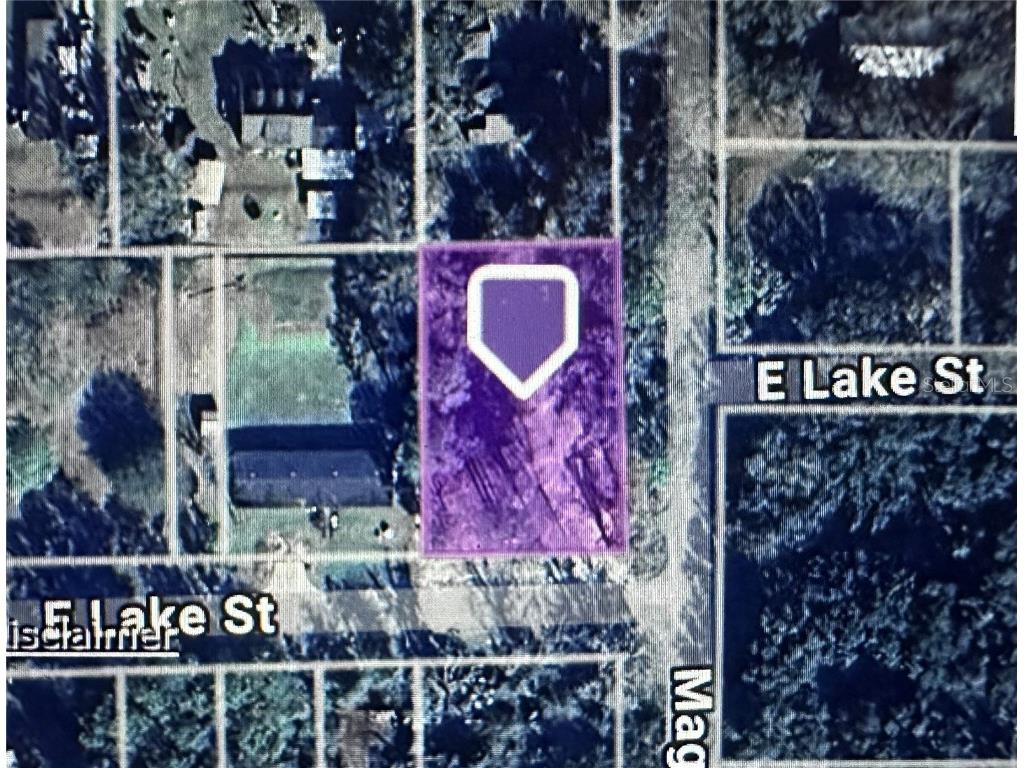TBD E Lake Street Palatka FL 32177 OM713483 image1