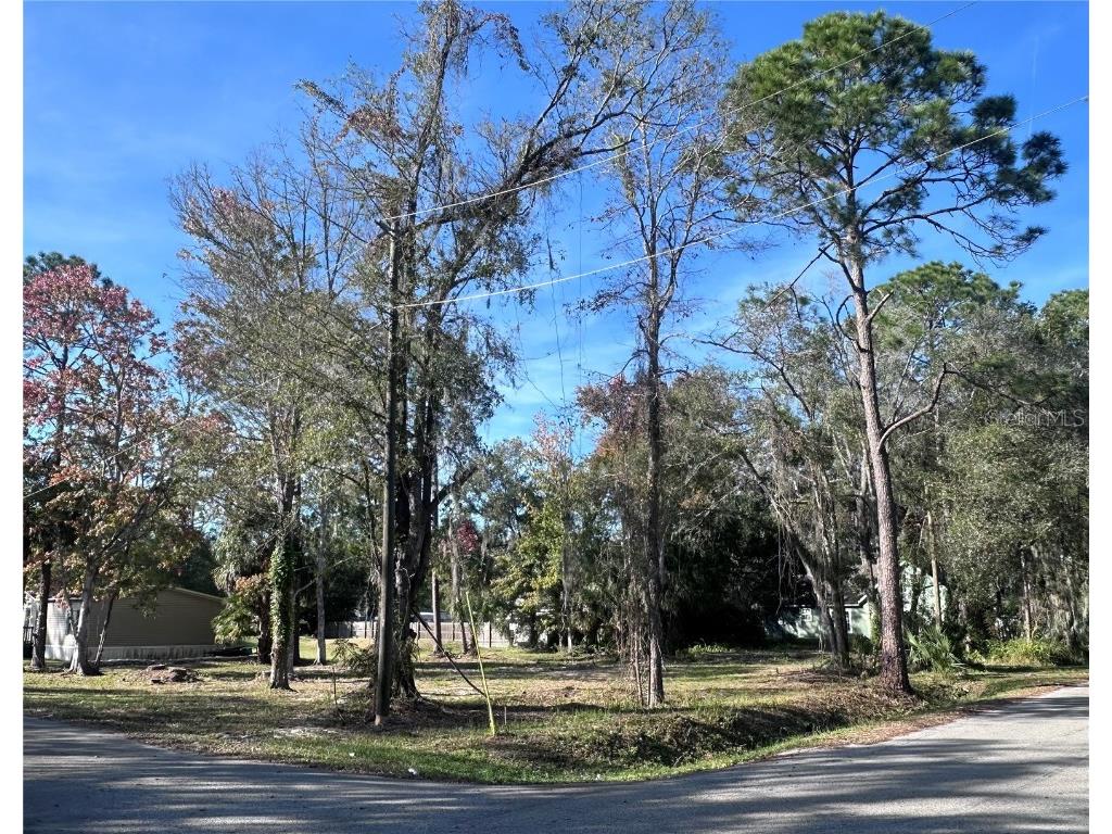 TBD E Lake Street Palatka FL 32177 OM713483 image2