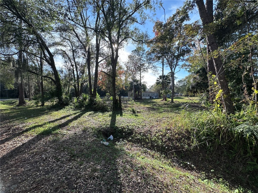 TBD E Lake Street Palatka FL 32177 OM713483 image5