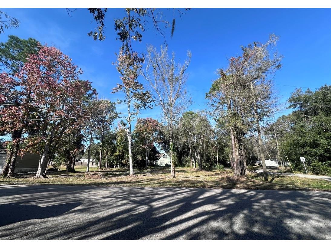 TBD E Lake Street Palatka FL 32177 OM713483 image6