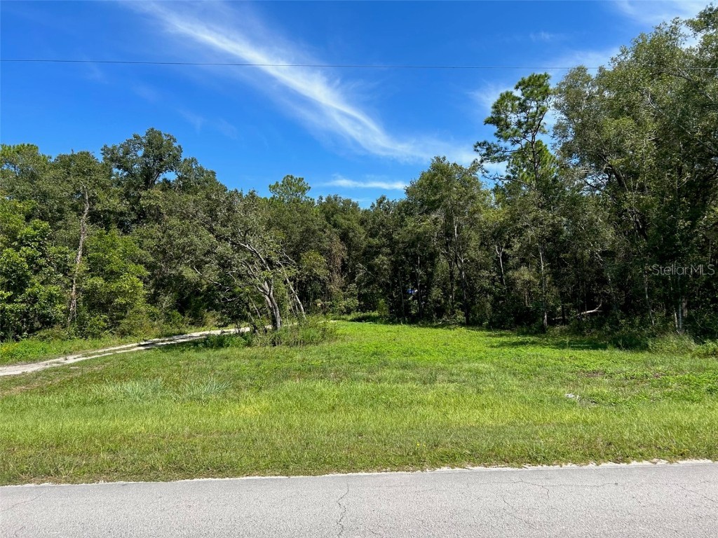 TBD E Levy Street Williston FL 32696 OM681510 image1