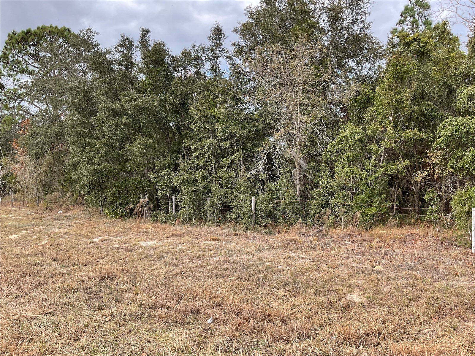 TBD E Levy Street Williston FL 32696 OM716053 image1
