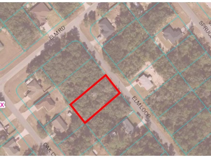 TBD Elm Loop Ocala FL 34472 T3490226 image1