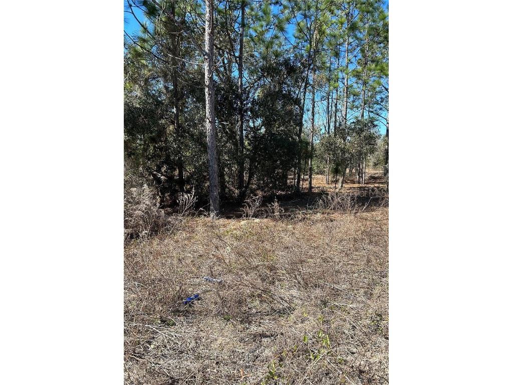 TBD Evergreen Court Dunnellon FL 34431 OM660343 image1