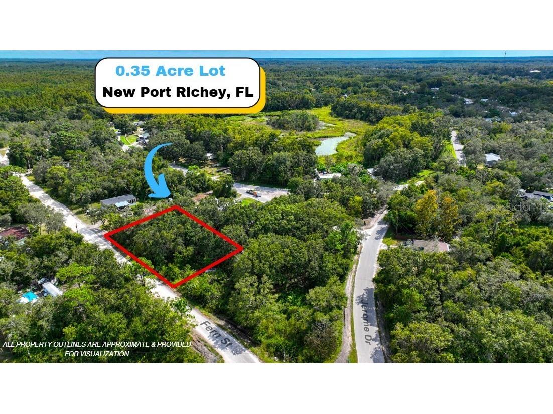 TBD Fern Street New Port Richey FL 34654 A4665761 image1