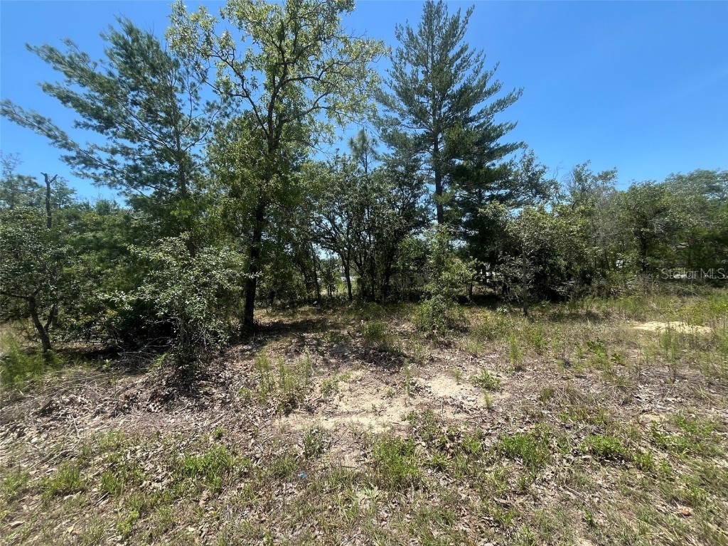 TBD Filbert Road Brooksville FL 34614 OK225197 image1