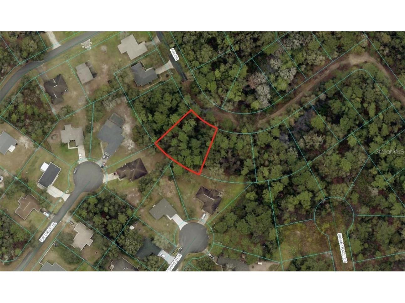 TBD Fir Dr Ocala FL 34472 OM697882 image1