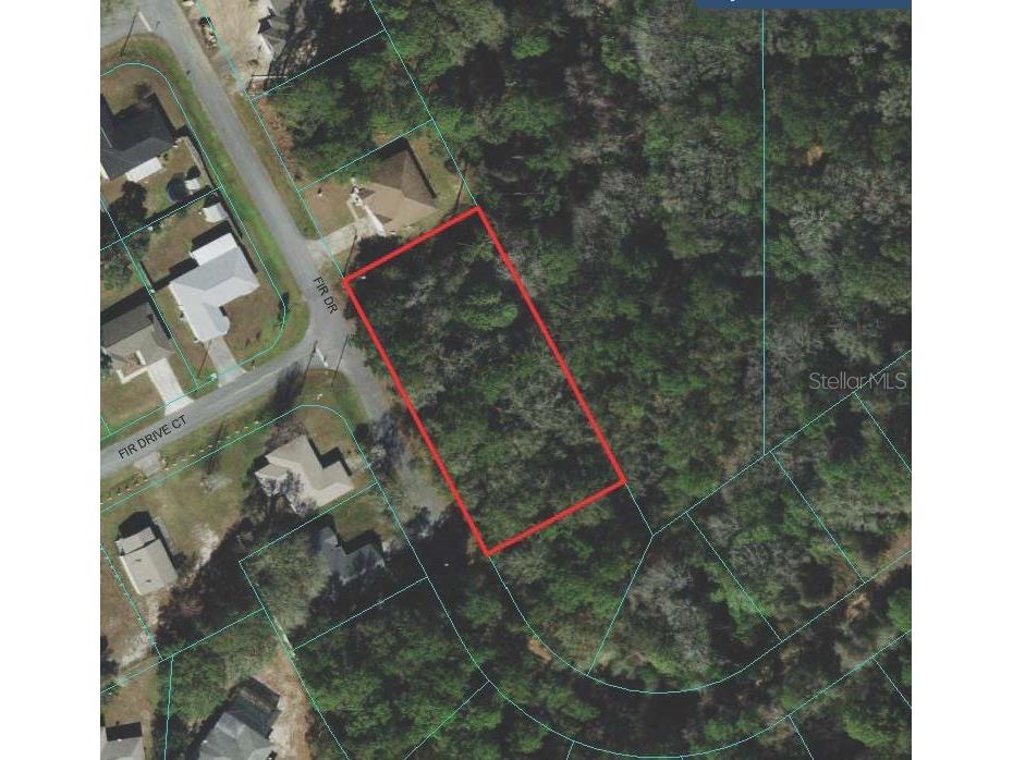TBD Fir Drive Ocala FL 34472 OM666012 image1