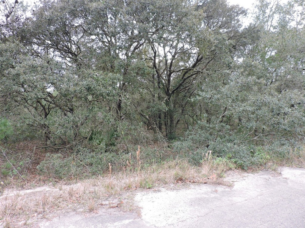 TBD Fisher Court Way Ocklawaha FL 32179 OM672638 image1