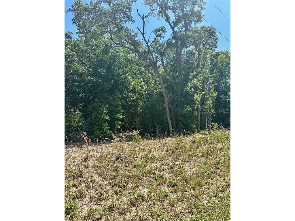 TBD Fisher Lane Court Ocklawaha FL 32179 O6306518 image1