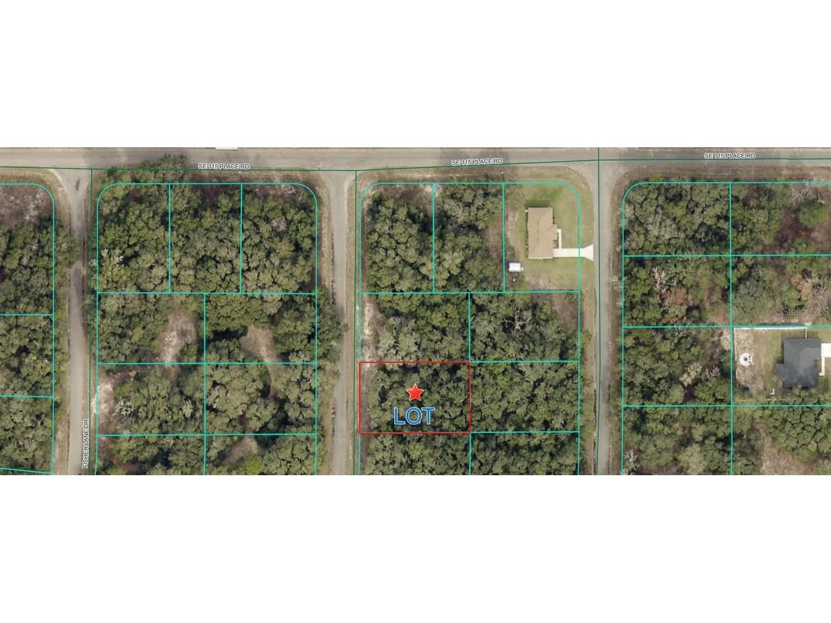 TBD Fisher Lane Court Ocklawaha FL 32179 OM707564 image1
