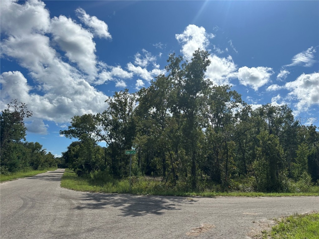 TBD Fisher Lane Trace Ocklawaha FL 32179 O6243821 image1