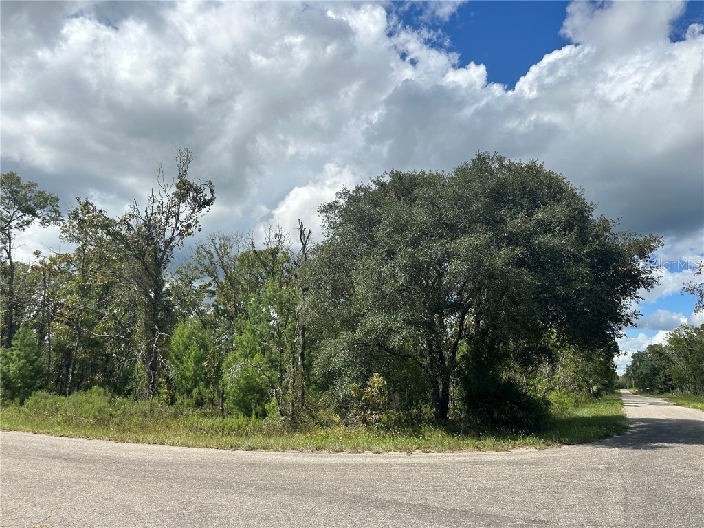 TBD Fisher Lane Trak Ocklawaha FL 32179 O6243825 image1