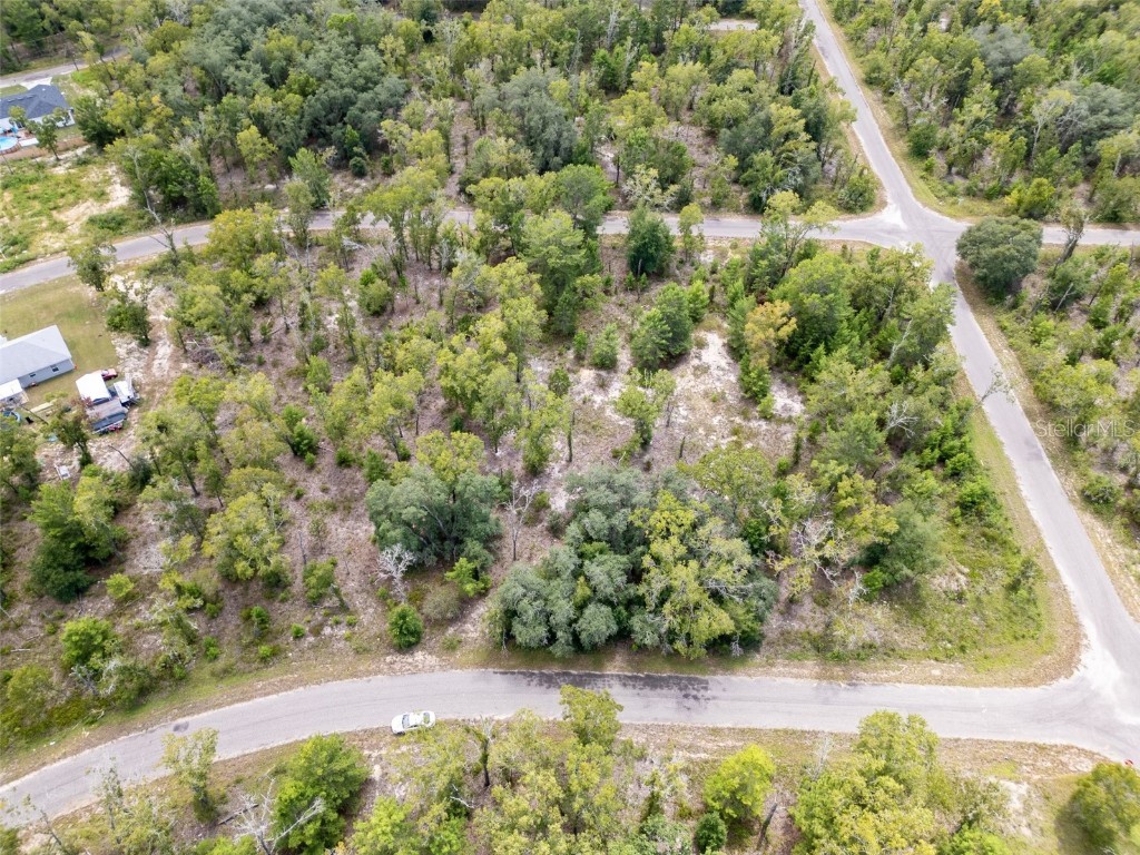 TBD Fisher Lane Trce Ocklawaha FL 32179 OM685112 image1