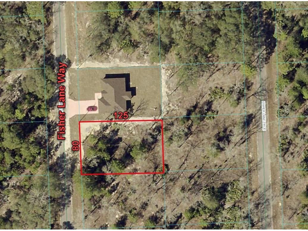 TBD Fisher Lane Way Ocklawaha FL 32179 O6242352 image1