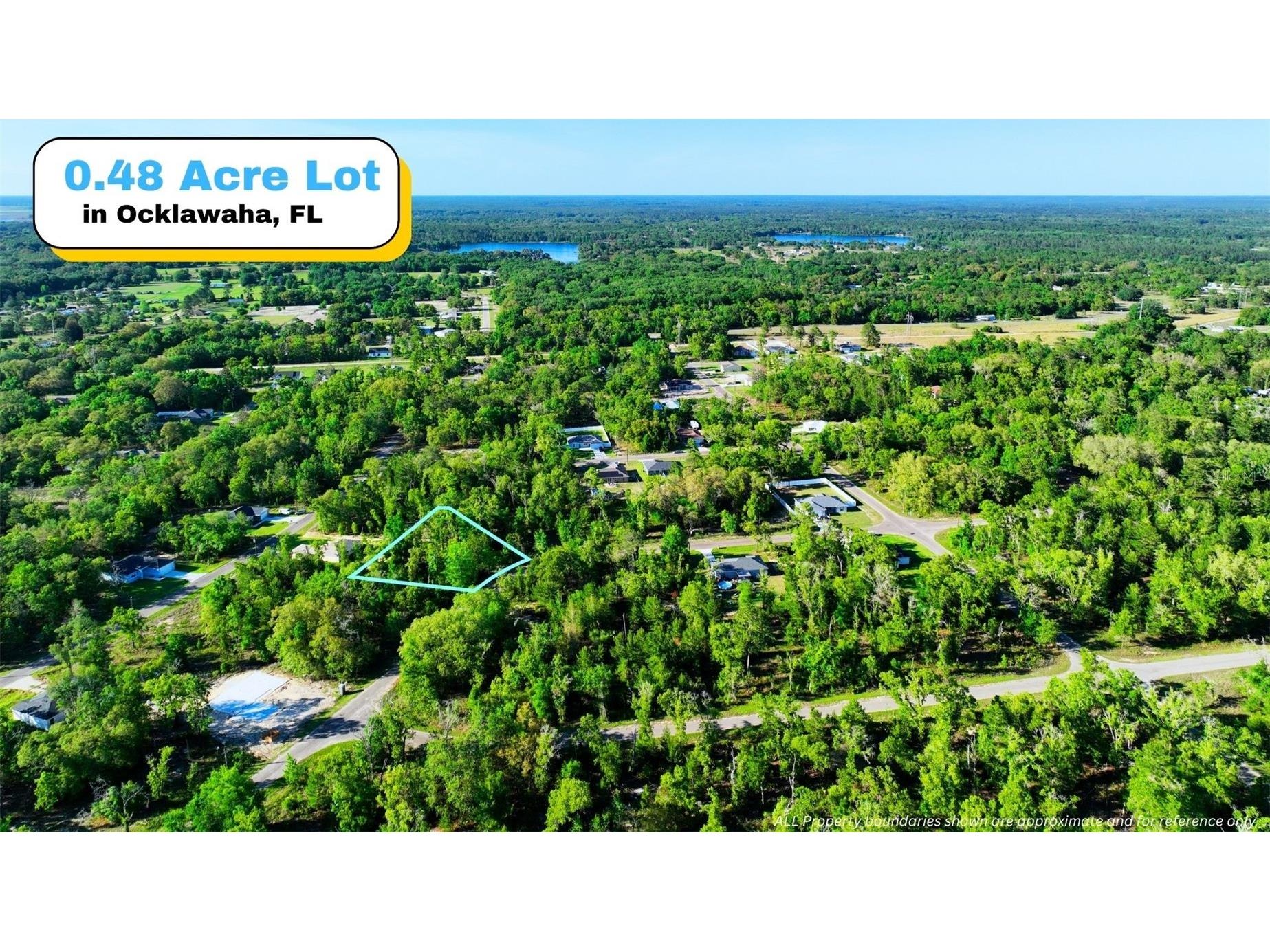 TBD Fisher Ln Way Ocklawaha FL 32179 A4692773 image1