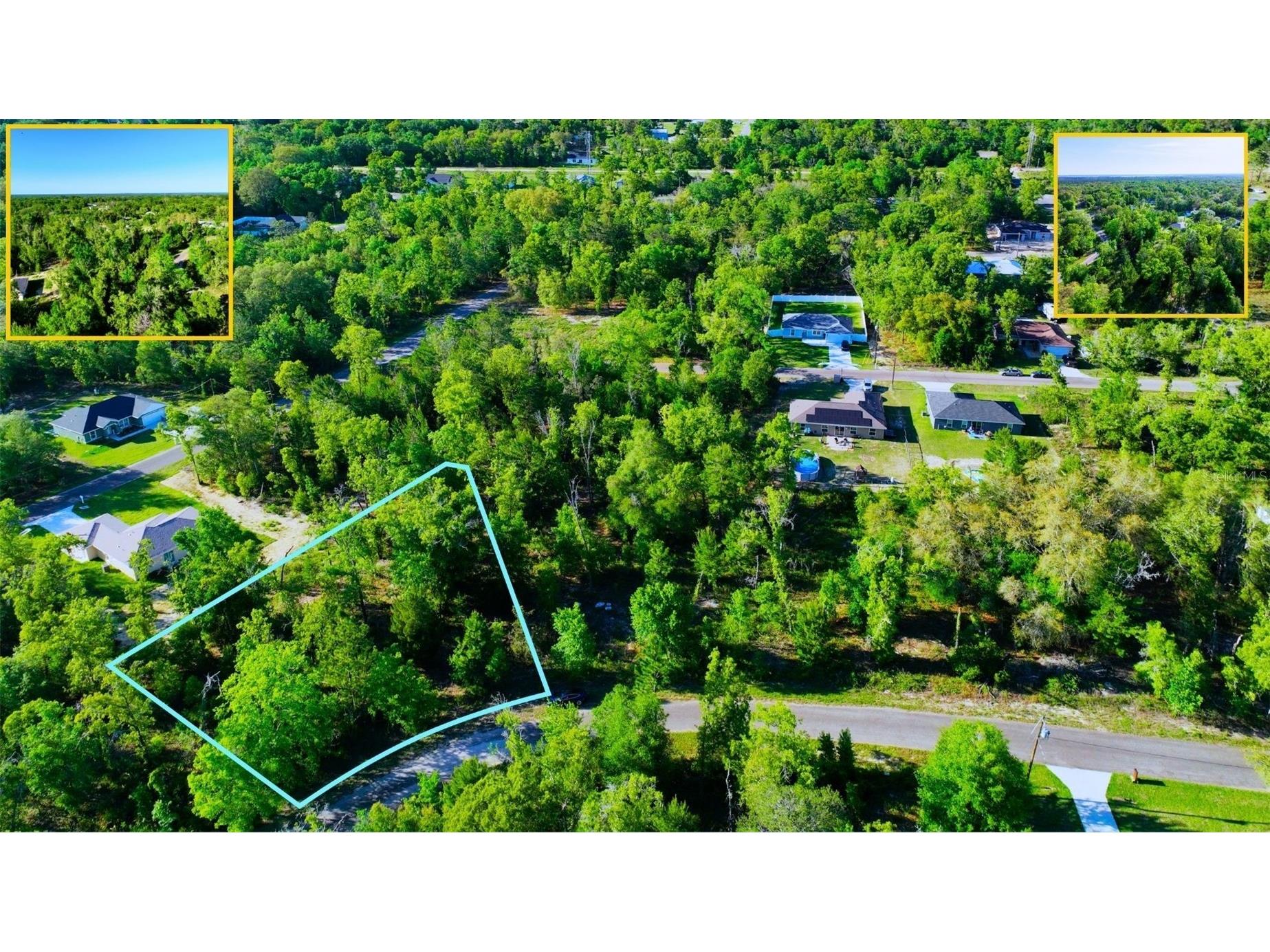 TBD Fisher Ln Way Ocklawaha FL 32179 A4692773 image4