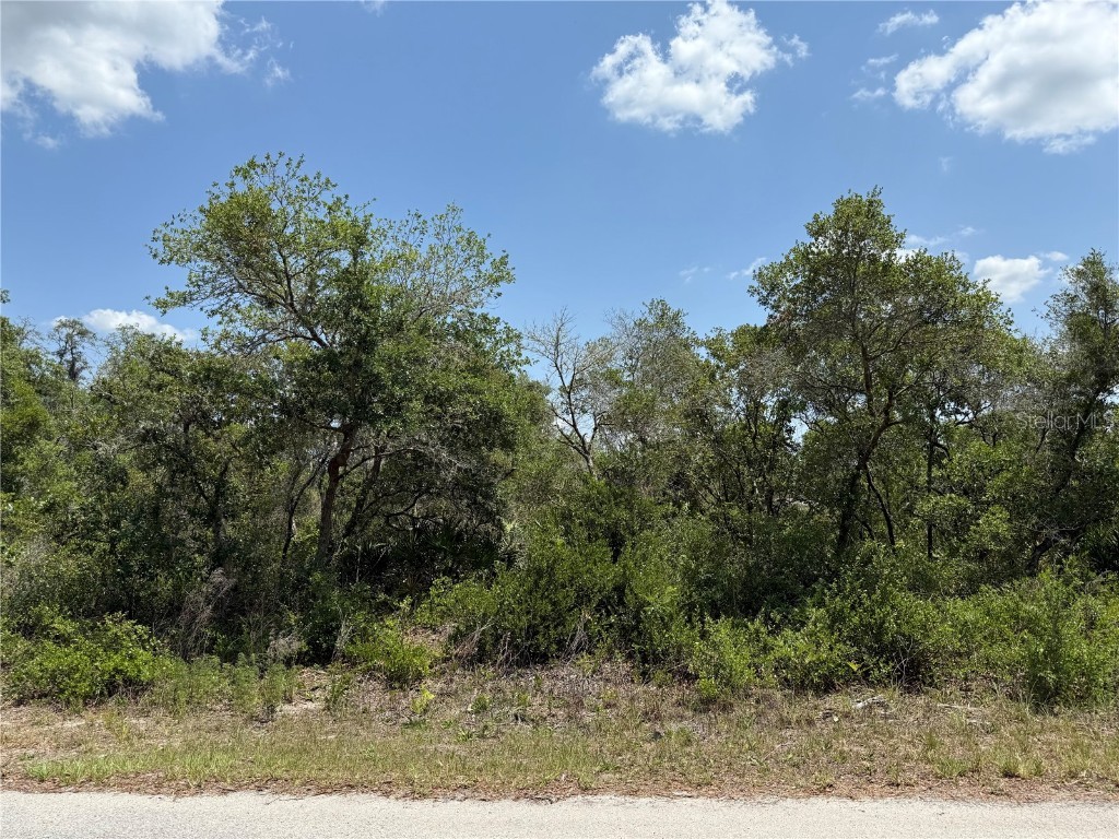 TBD Fisher Loop #36 Ocklawaha FL 32179 OM701240 image1