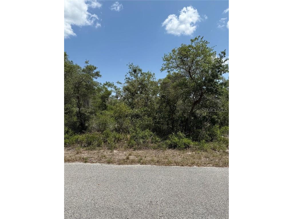 TBD Fisher Loop #36 Ocklawaha FL 32179 OM701240 image2