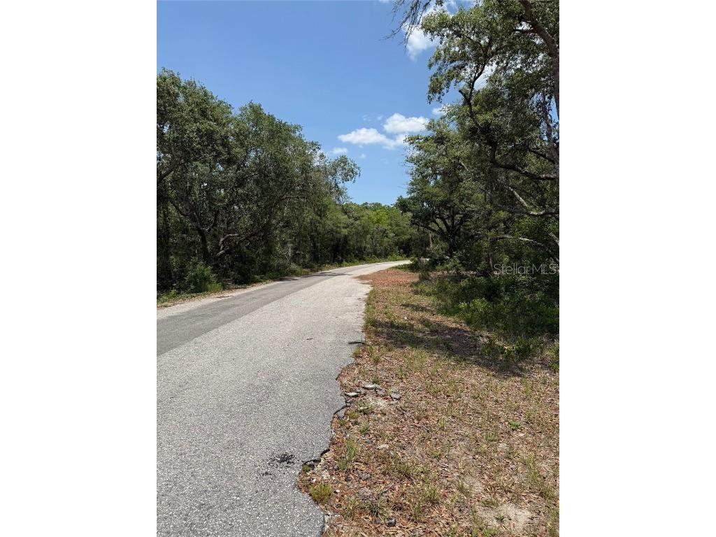TBD Fisher Loop #36 Ocklawaha FL 32179 OM701240 image4