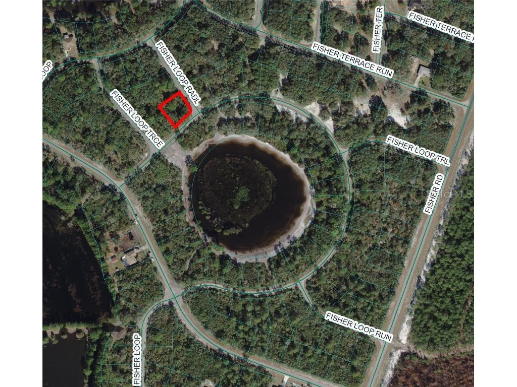 TBD Fisher Loop Ocklawaha FL 32179 - LAKE GARNET OM671171 image1