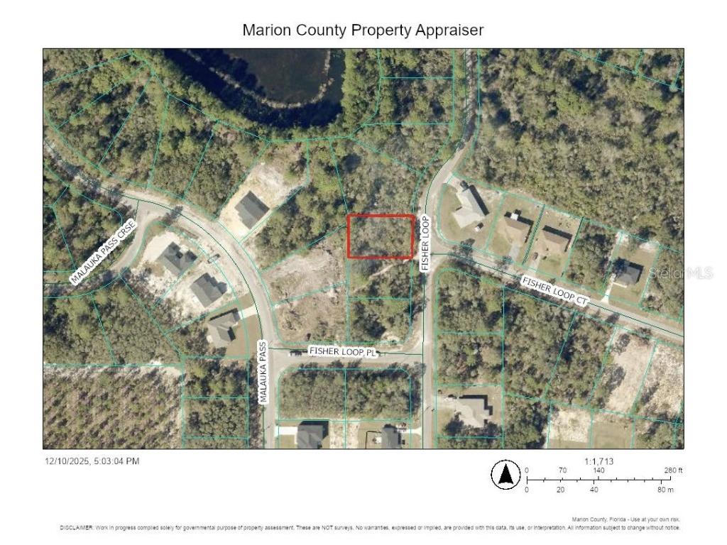 TBD Fisher Loop Ocklawaha FL 32179 TB8455254 image2