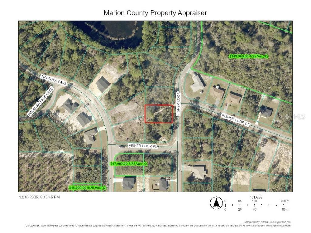 TBD Fisher Loop Ocklawaha FL 32179 TB8455603 image3