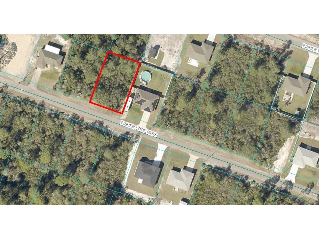TBD Fisher Loop Pass Ocklawaha FL 32179 OM699386 image1
