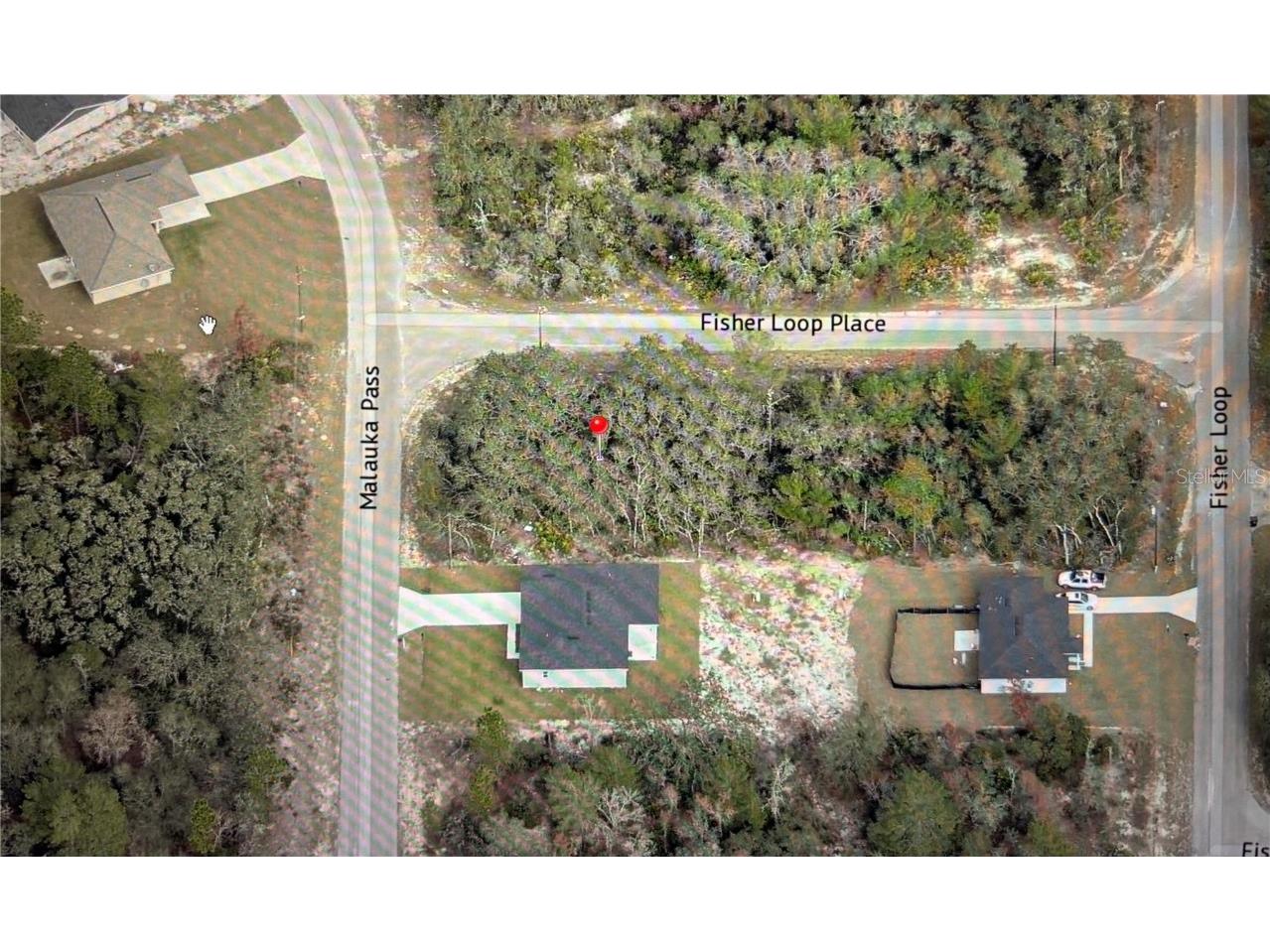 TBD Fisher Loop Place Ocklawaha FL 32179 GC528494 image1