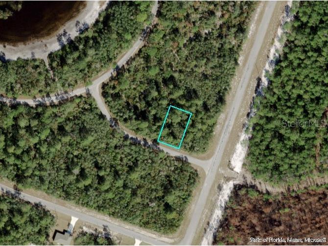 TBD Fisher Loop Run Ocklawaha FL 32179 OM700394 image1