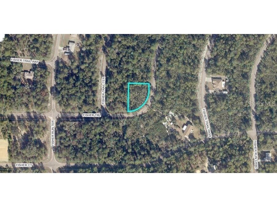 TBD Fisher Trail Ocklawaha FL 32179 O6384764 image1
