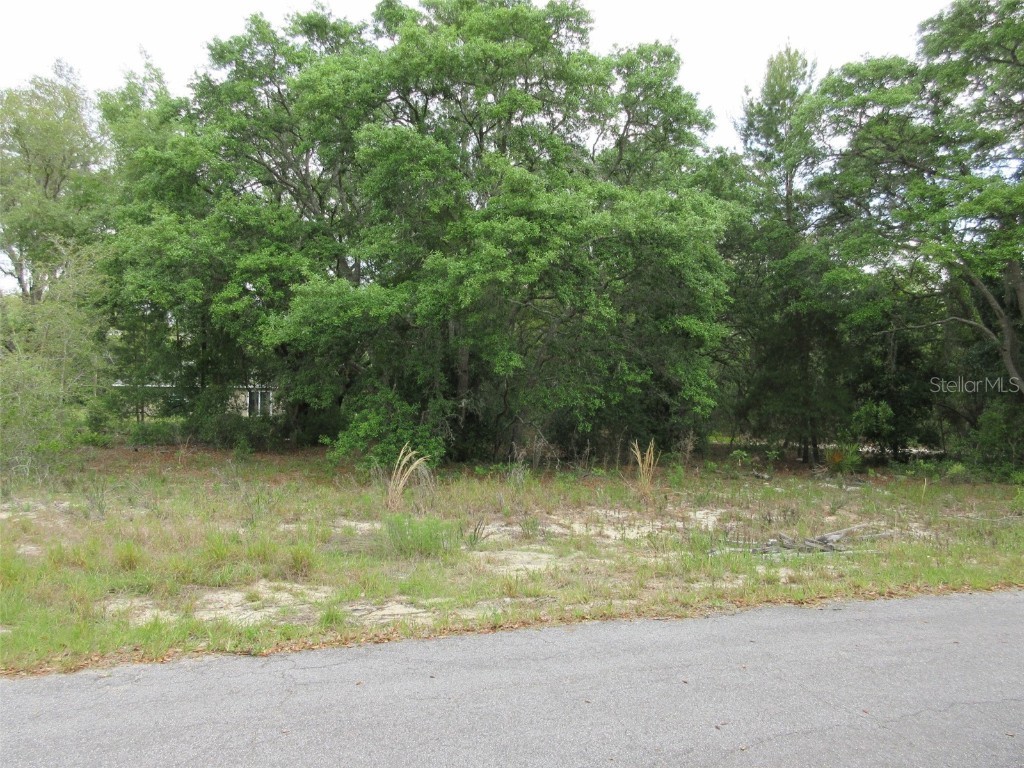 TBD Fisher Way Drive Ocklawaha FL 32179 OM656678 image1