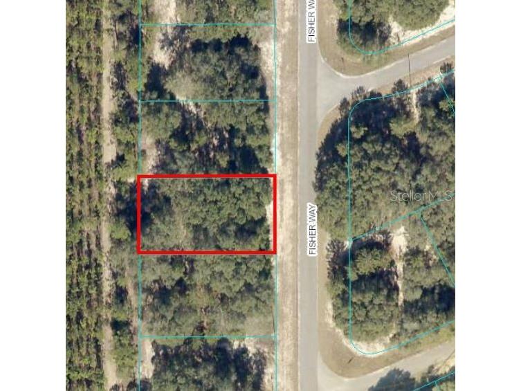 TBD Fisher Way Ocklawaha FL 32179 OM648903 image1