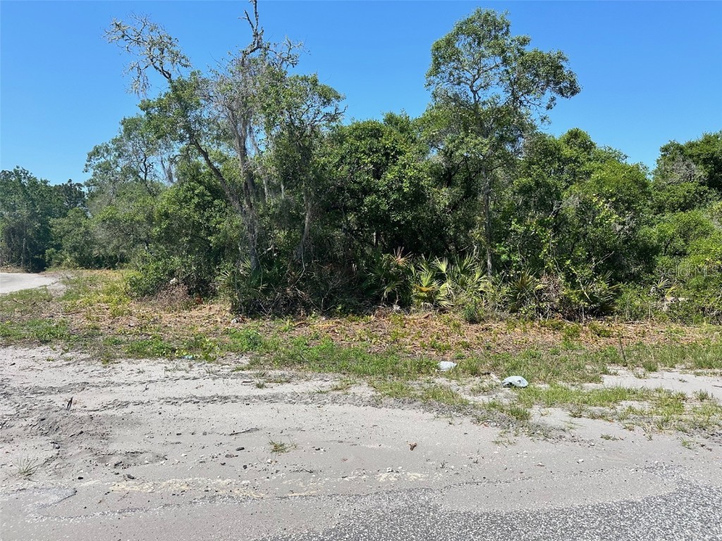 TBD Fisher Way Ocklawaha FL 32179 O6306511 image1