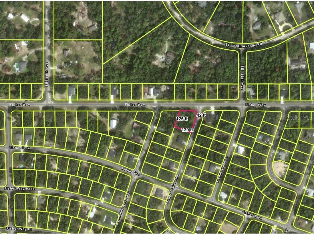 TBD Fisher Way Ocklawaha FL 32179 O6395500 image2