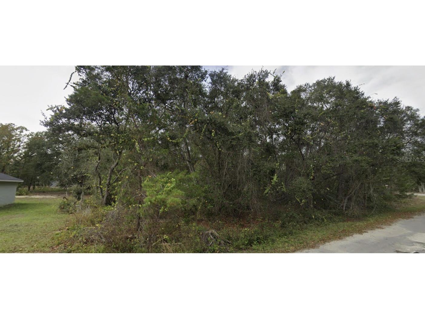 TBD Fisher Way Ocklawaha FL 32179 O6395500 image6
