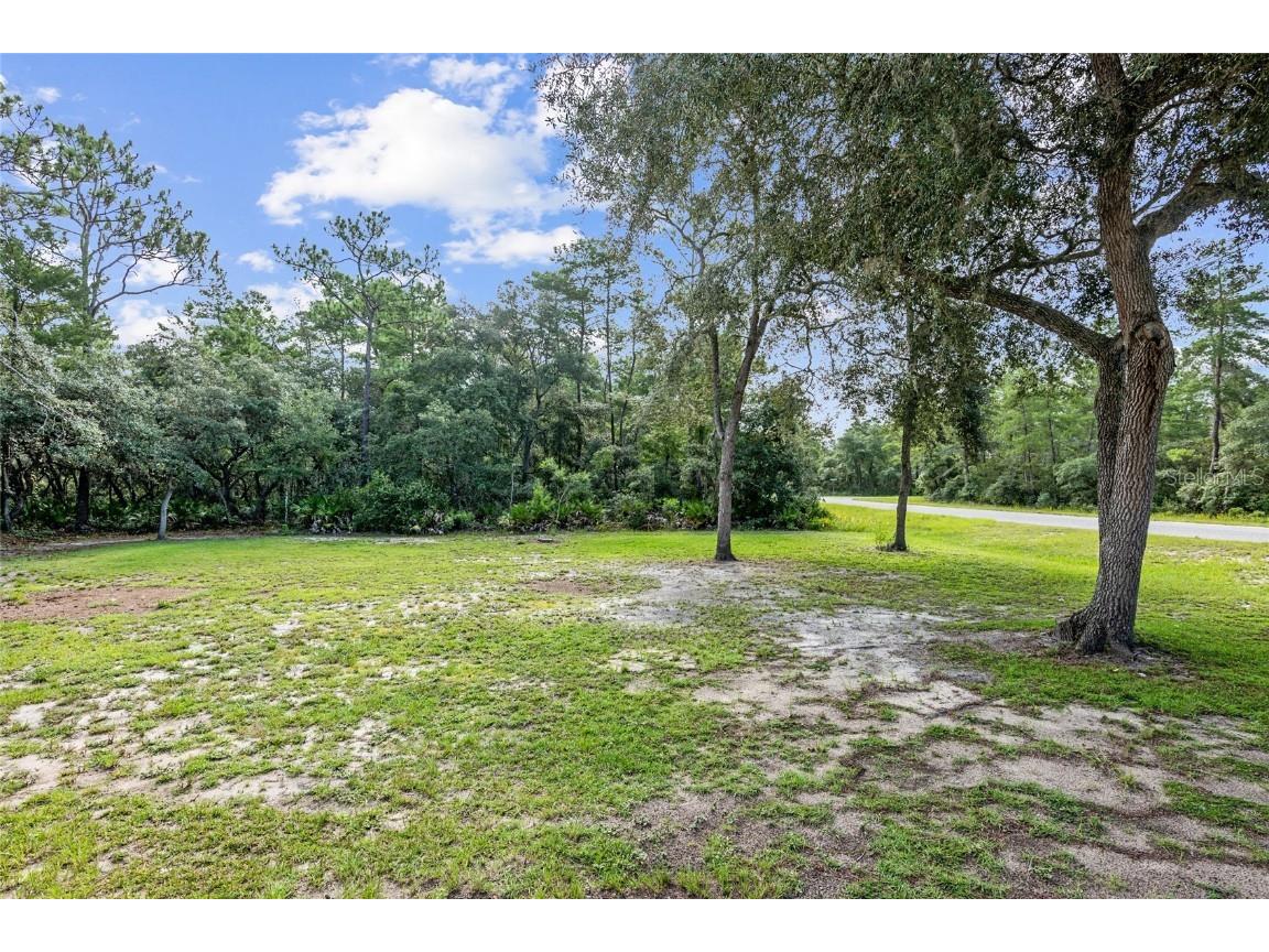 TBD Fisher Way Ocklawaha FL 32179 OM683088 image1