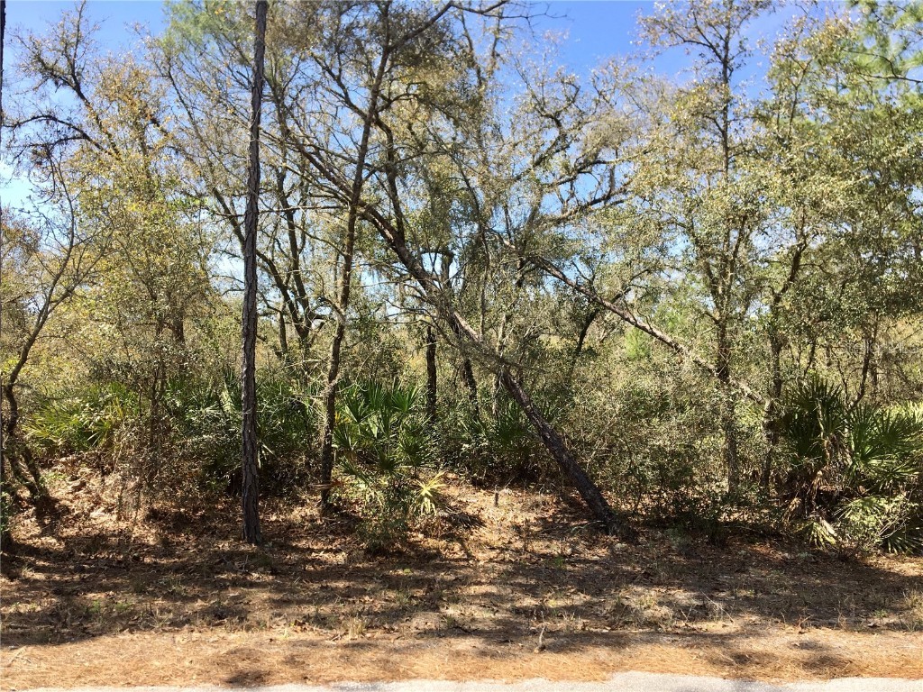 TBD Fisher Way Track Ocklawaha FL 32179 OM636227 image1