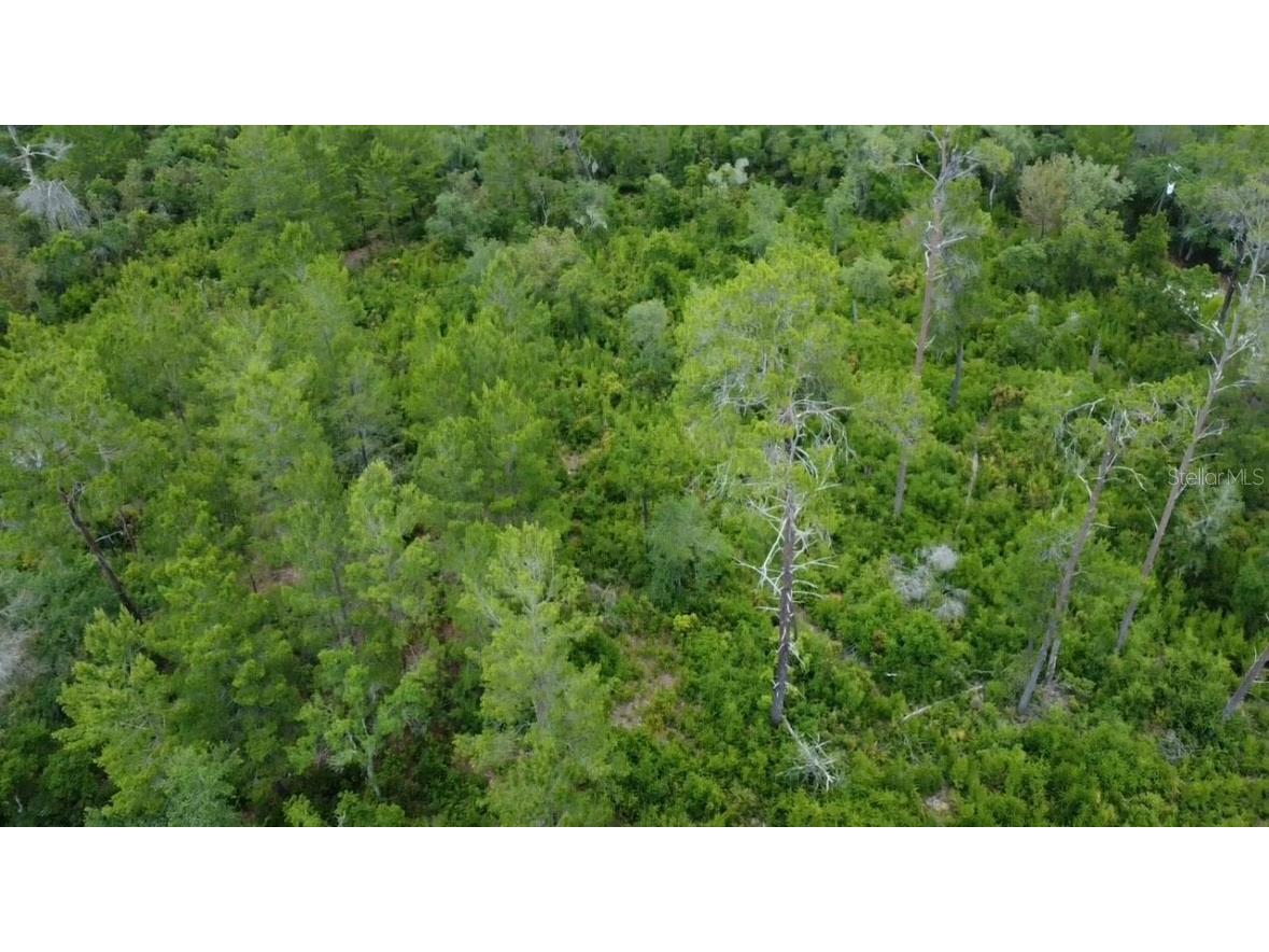 TBD Fishermans Road Paisley FL 32767 OM677545 image1