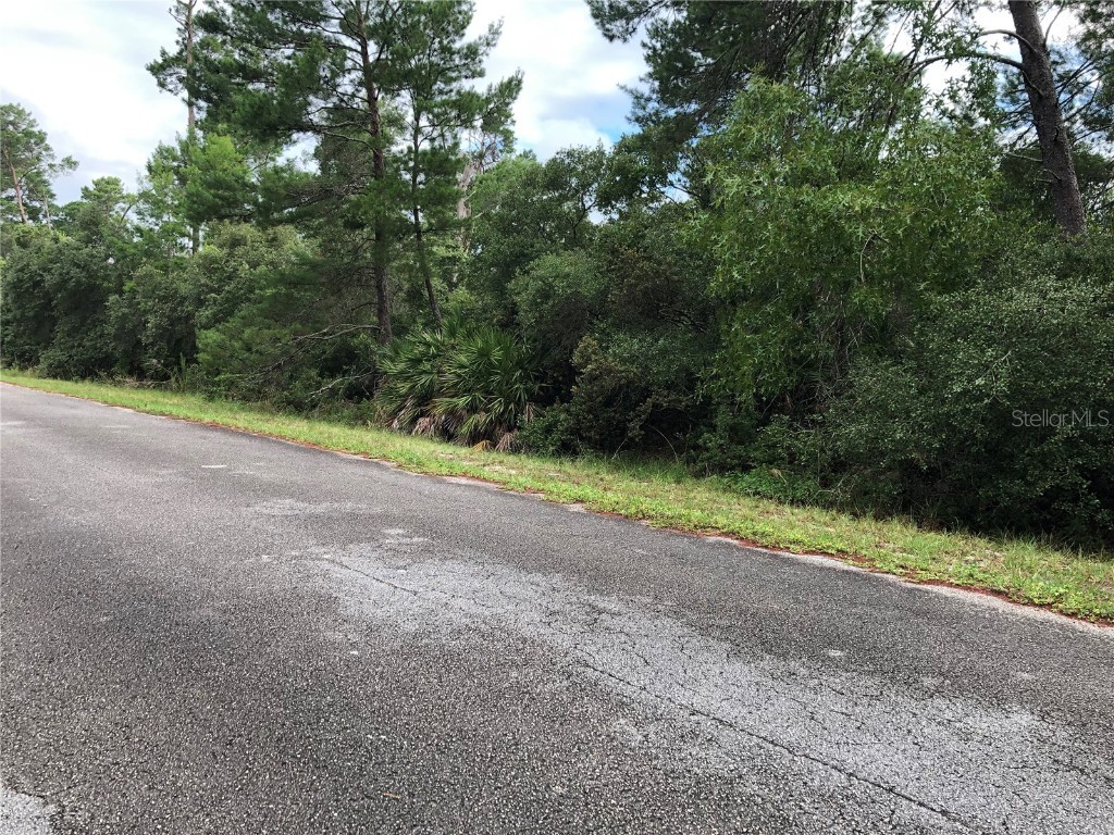 TBD Forestdel Drive Eustis FL 32736 A4613859 image1