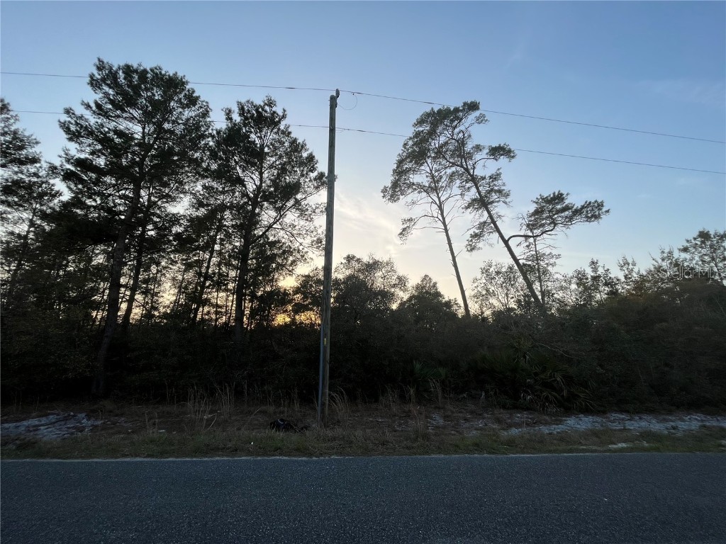 TBD Georgia Street Paisley FL 32767 OK222589 image1