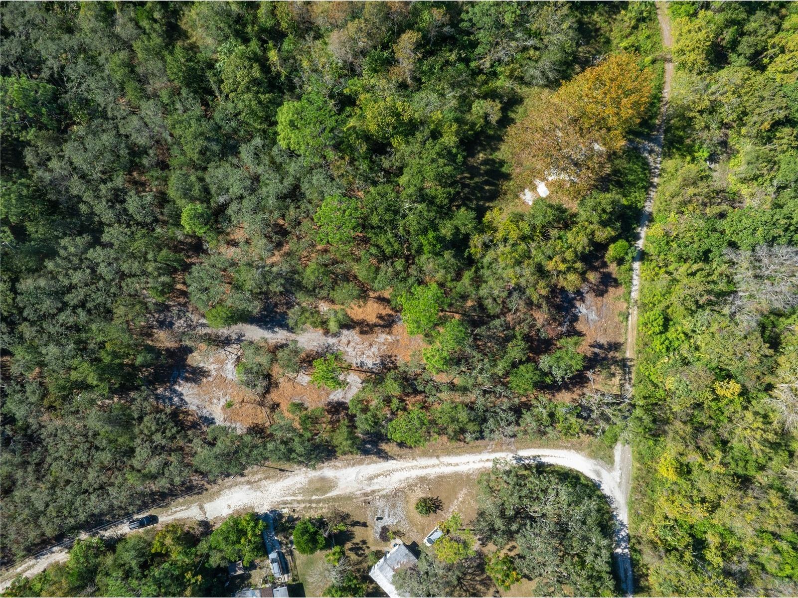 TBD Gilbert Street New Port Richey FL 34654 TB8348587 image3