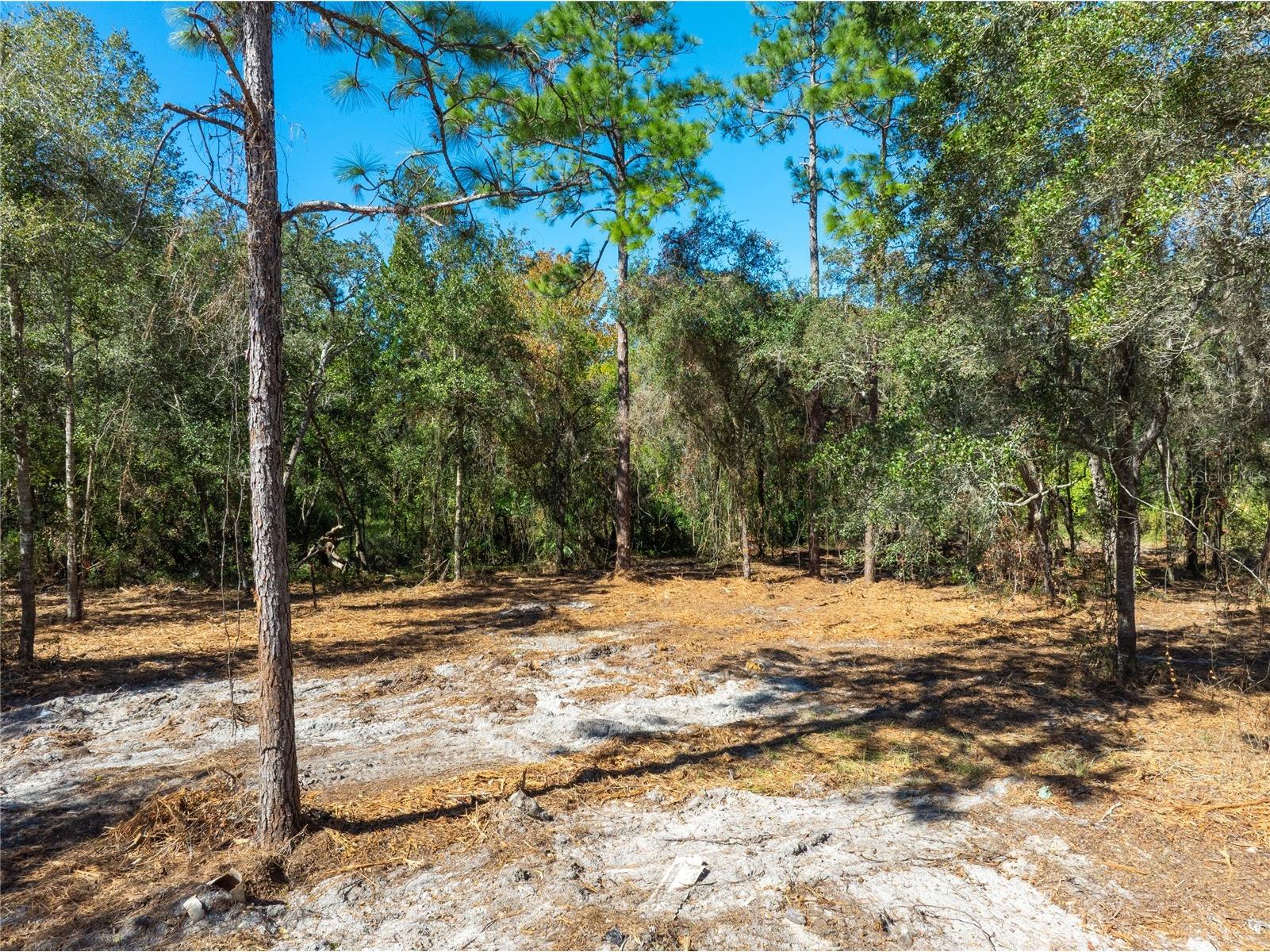 TBD Gilbert Street New Port Richey FL 34654 TB8348587 image4