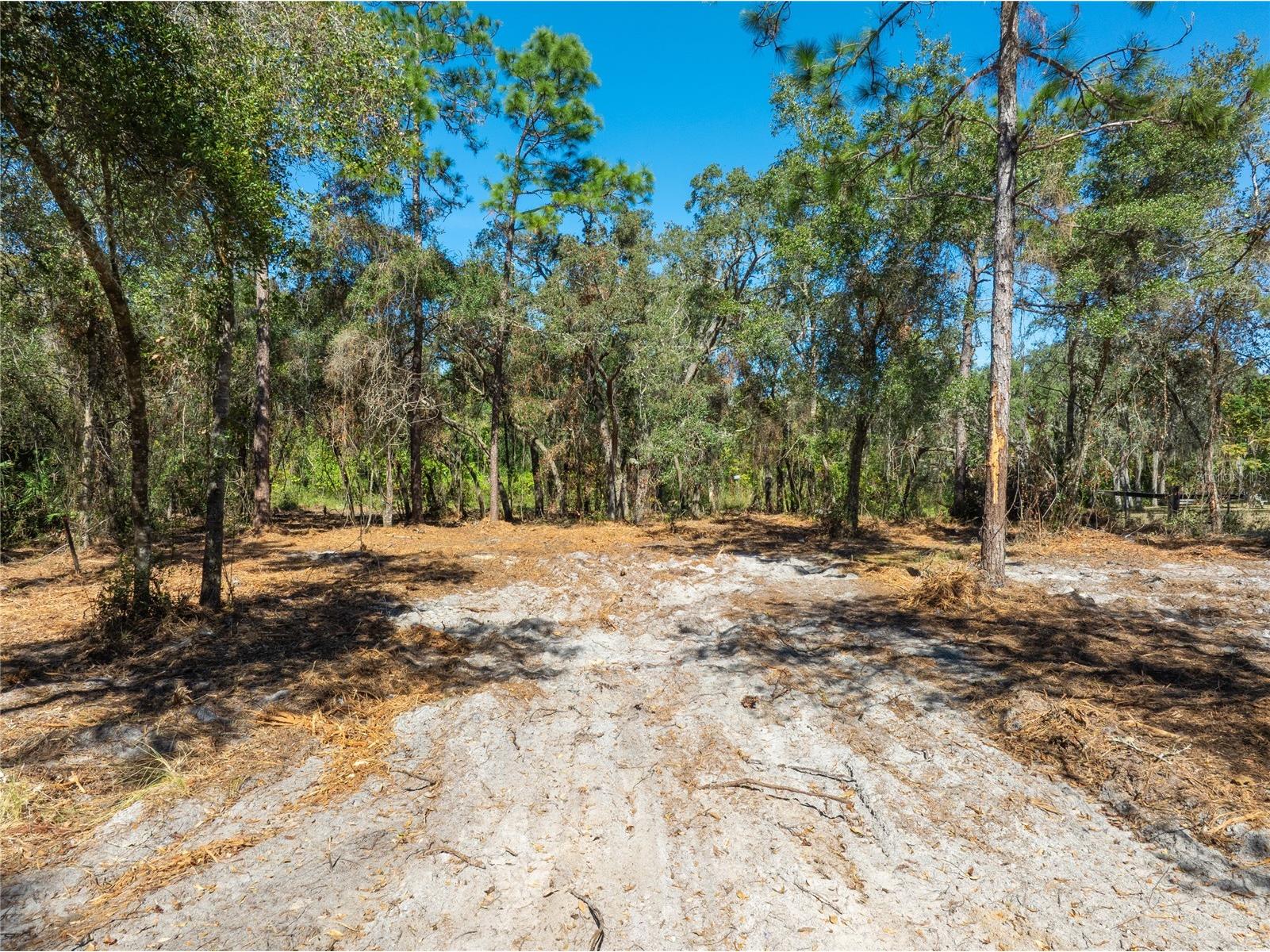 TBD Gilbert Street New Port Richey FL 34654 TB8348587 image5