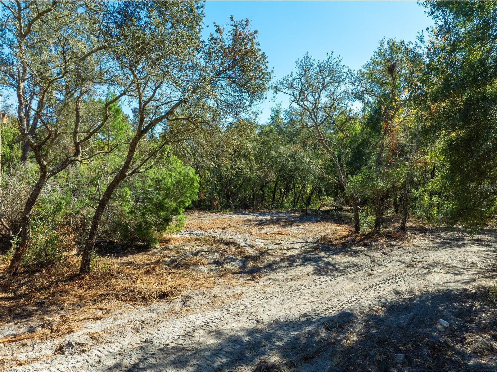 TBD Gilbert Street New Port Richey FL 34654 TB8348587 image6